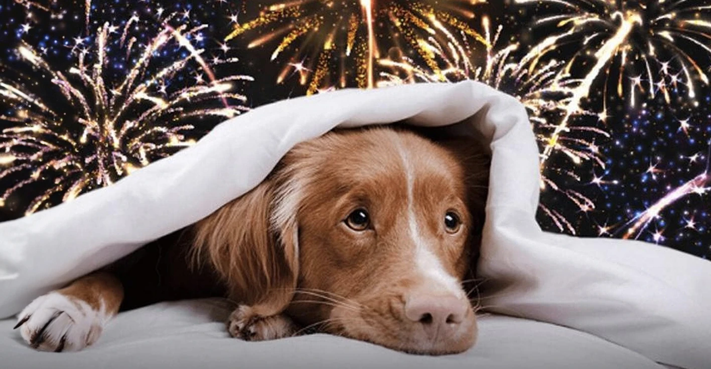 I fuochi d'artificio