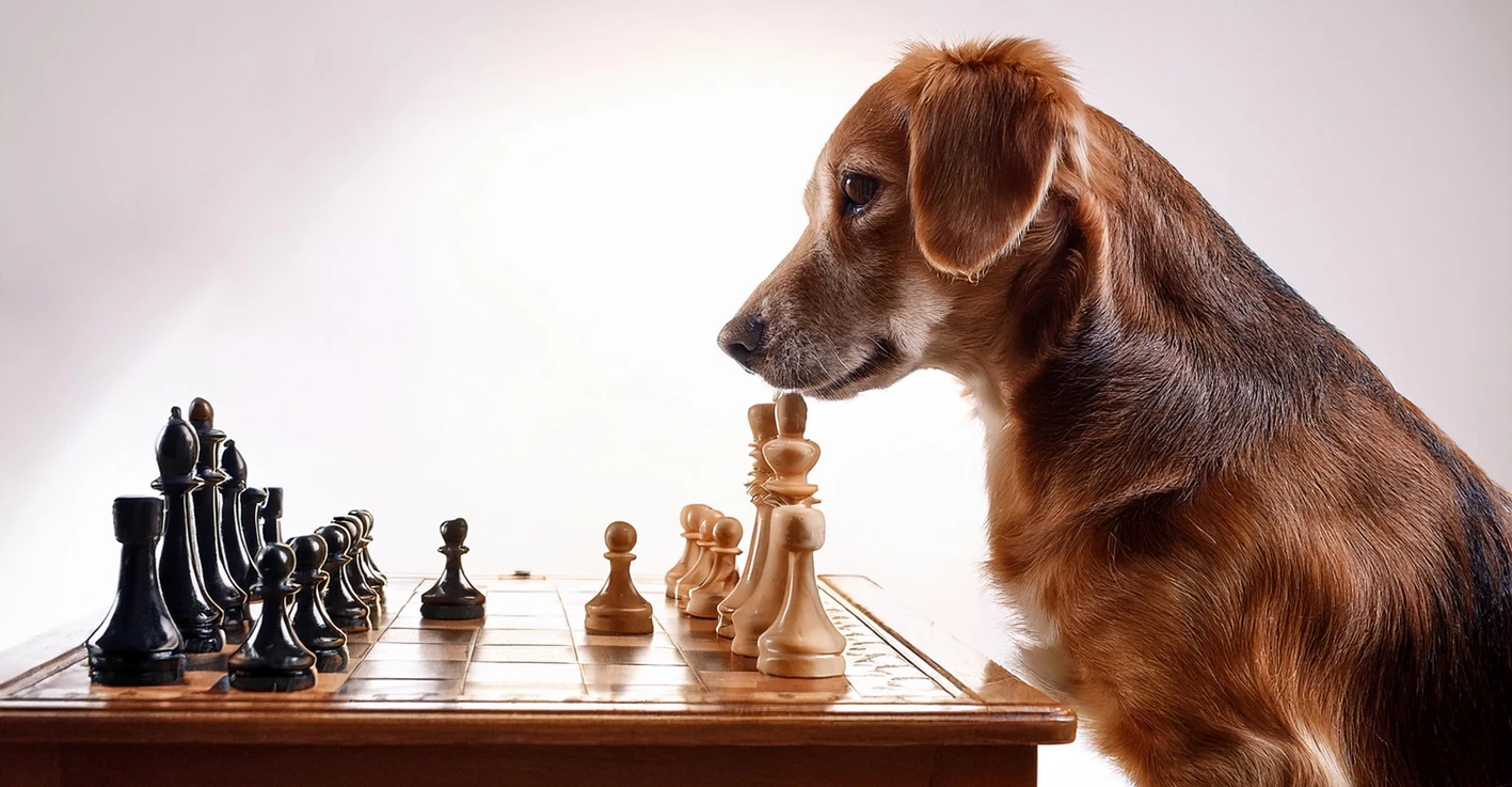 I 10 giochi preferiti