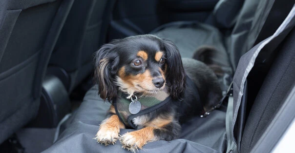 In automobile